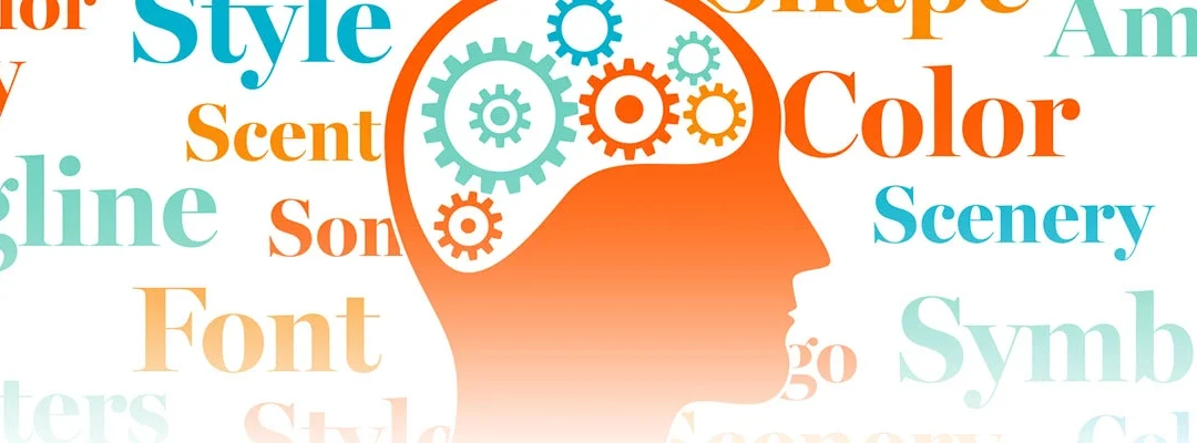 An article header that illustrates the hall marks of Distinctive Brands